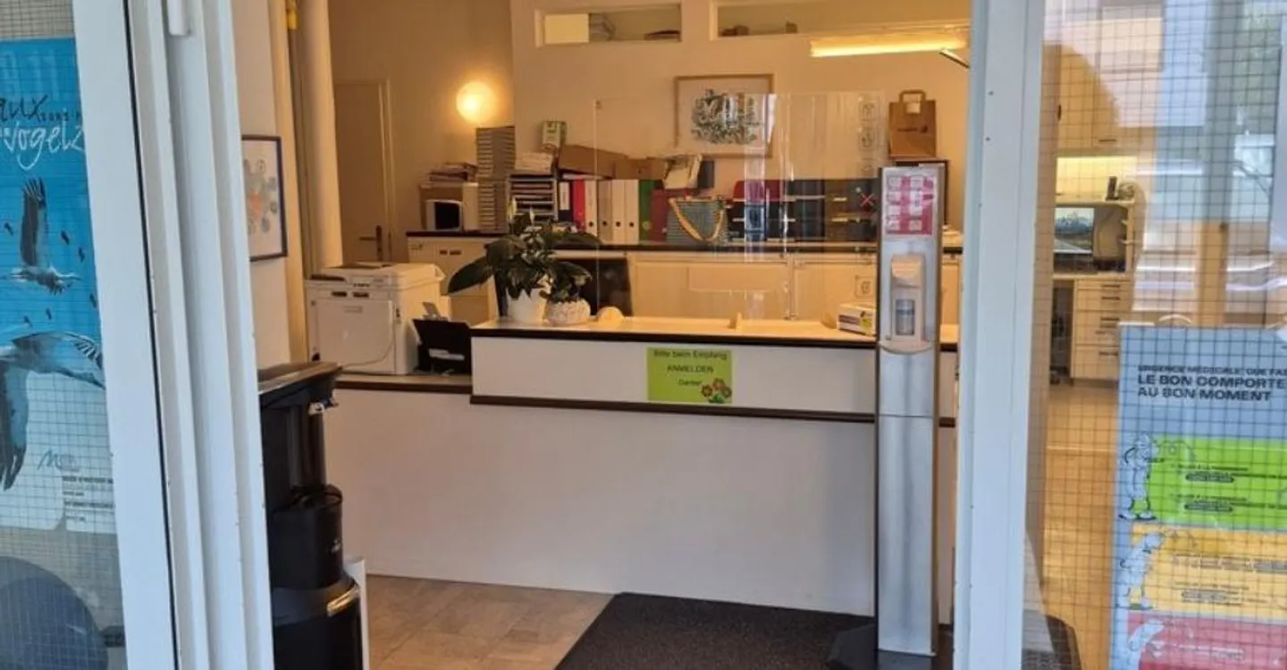 Bürofläche im Zentrum Flamatt - Foto 2 von 4