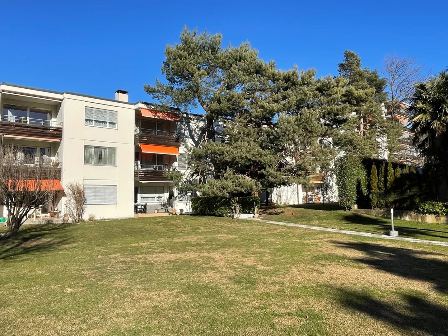 Appartamento spazioso nel verde - Foto 1 di 9