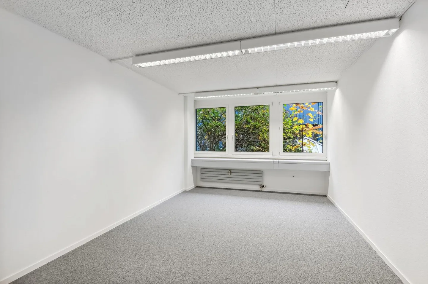 Bright small office for rent in Steinhausen - Photo 2 of 3