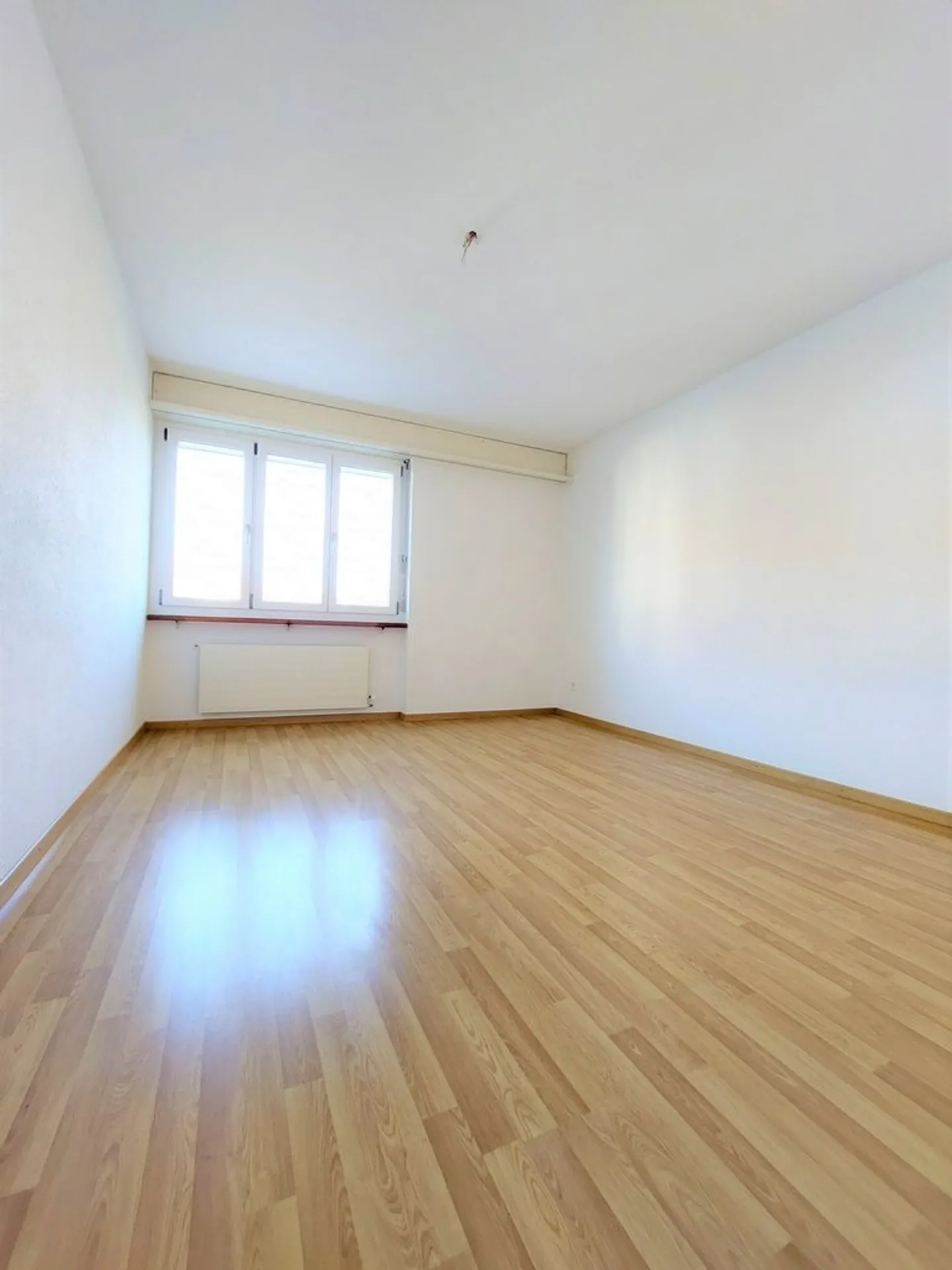Charming 4.5-Room Apartment - Photo 3 of 9
