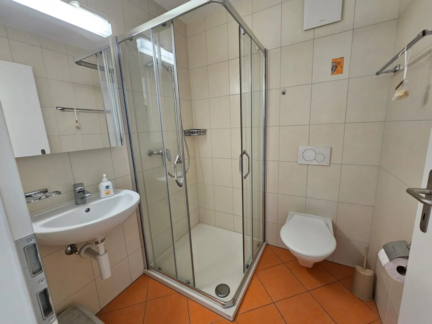 Entdecken Sie diese schöne renovierte Wohnung - Foto 11 von 12