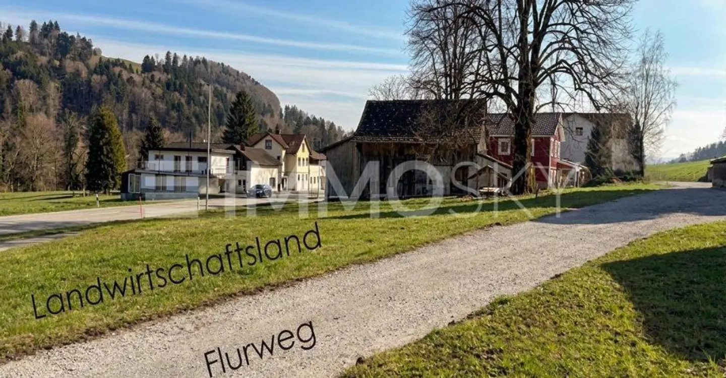 Development Opportunity in Zurich - Photo 2 of 4
