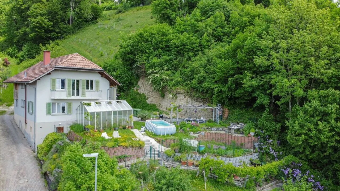 PARADISO GIARDINO IDILLICO AL CONFINE DELLA FORESTA - Foto 1 di 8