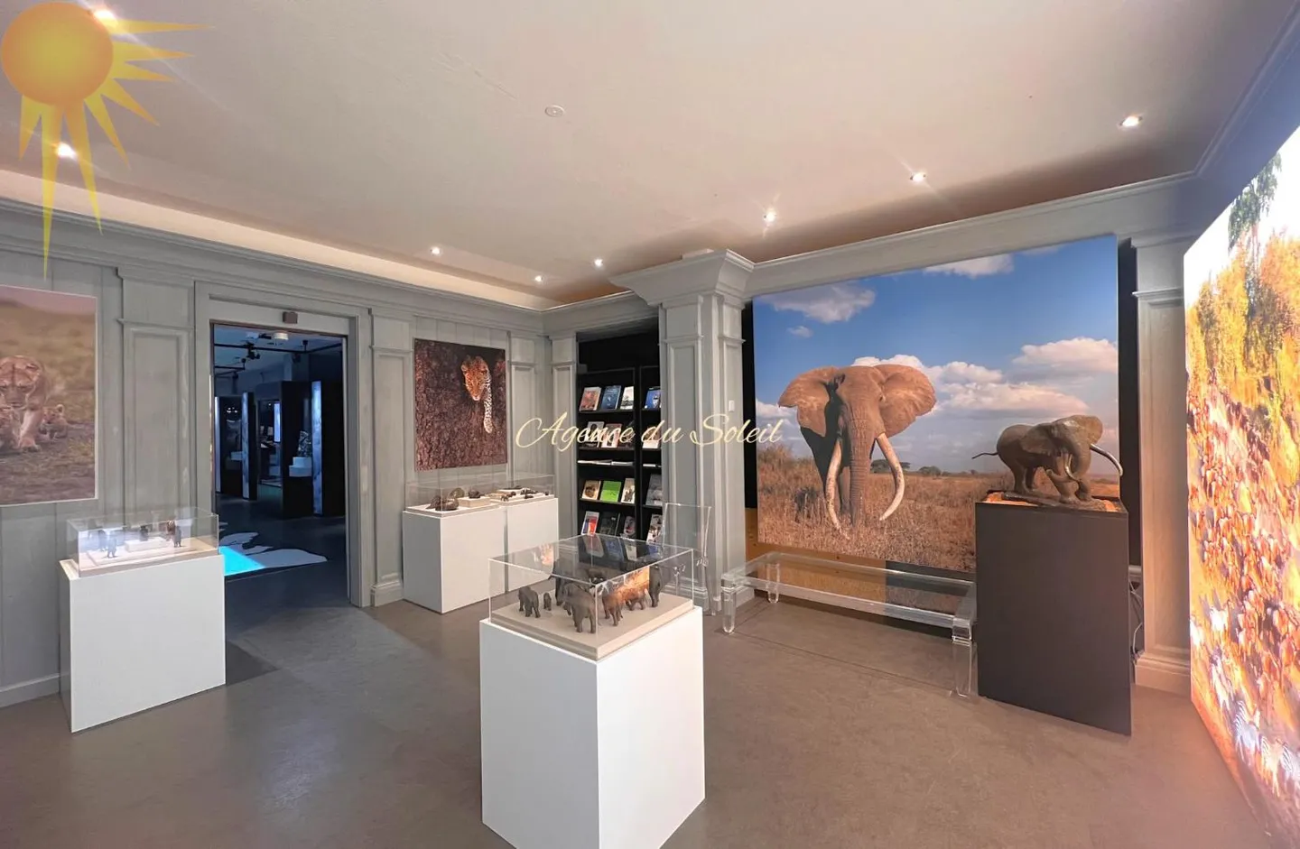 Large commercial space of 191 m² in the heart of the station! - Photo 1 of 4