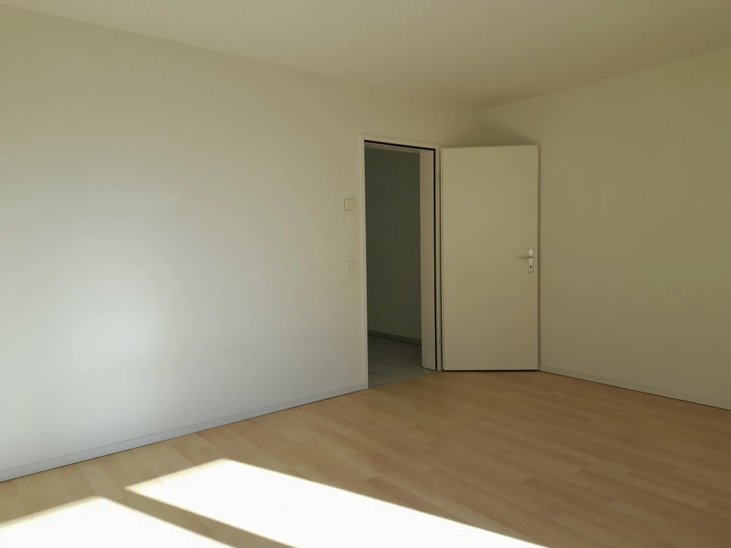 Spacious 4.5-room apartment on the edge of the village - Photo 5 of 10