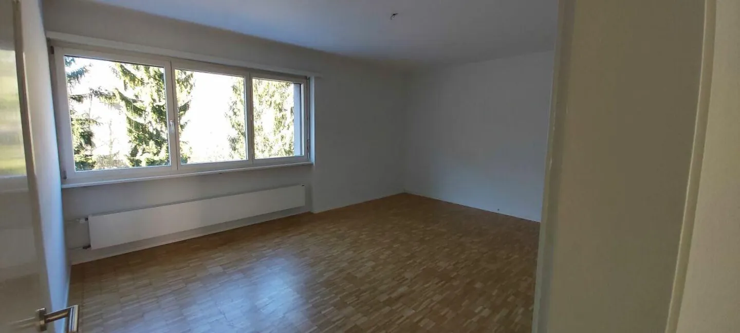 APPARTEMENT RÉNOVÉ DE 3.5 PIÈCES - EXCELLENTE POSITION - Photo 5 sur 13