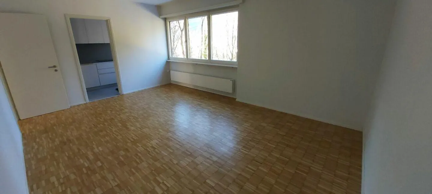 APPARTEMENT RÉNOVÉ DE 3.5 PIÈCES - EXCELLENTE POSITION - Photo 6 sur 13