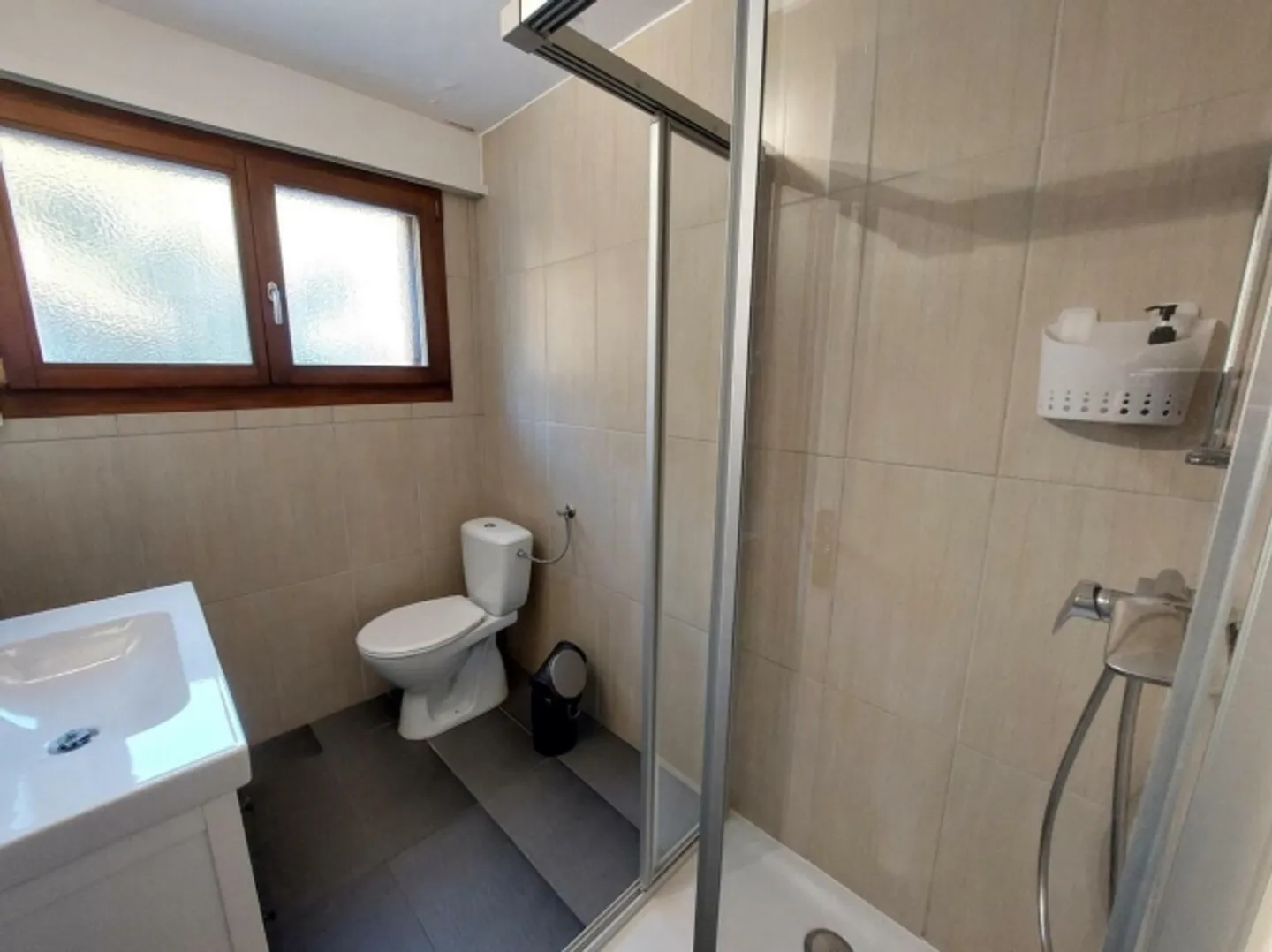 Charming 4.5 Rooms with Balcony and Tranquility - Photo 6 of 10