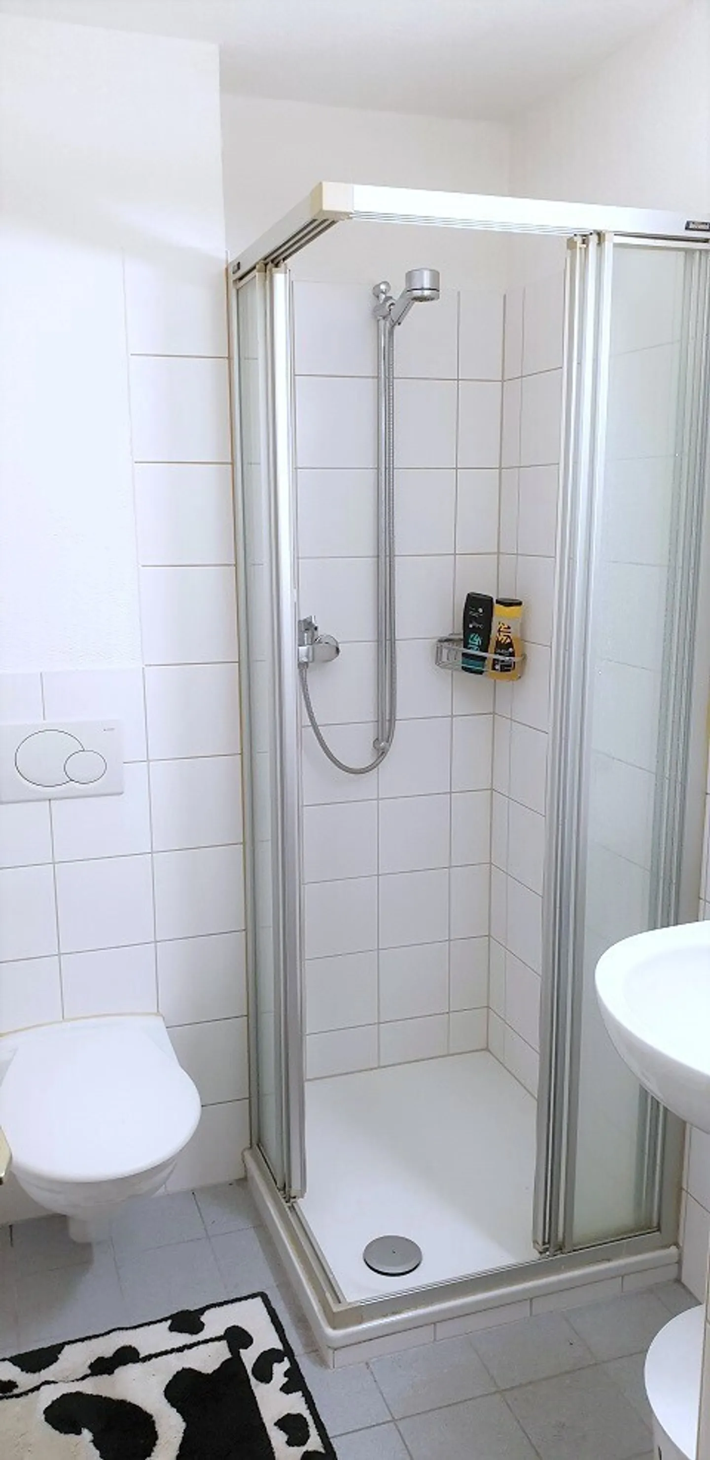 Cozy Apartment in Altstätten - Photo 4 of 5