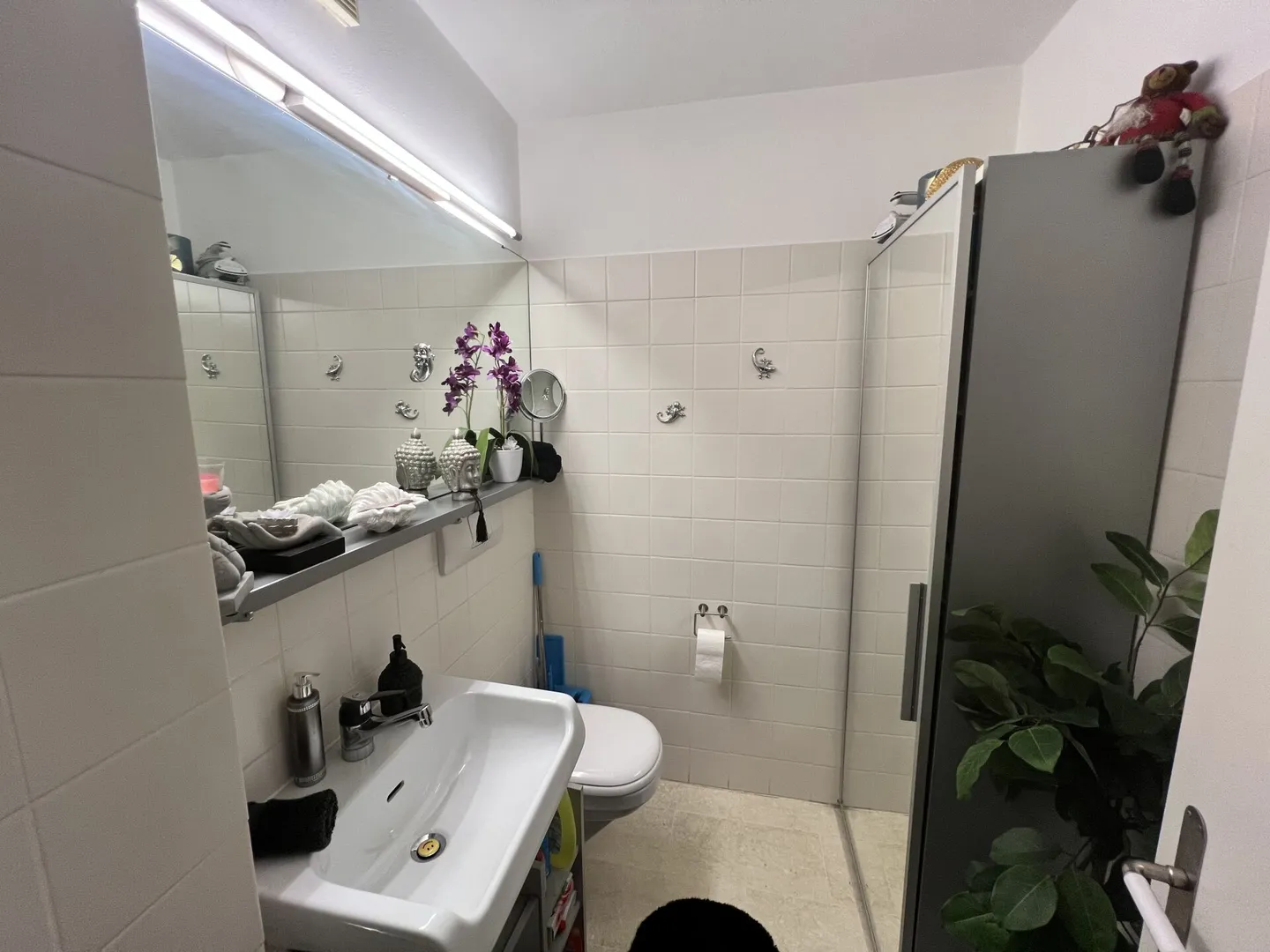 Elegante appartamento di 2,5 stanze con giardino - Foto 15 di 19