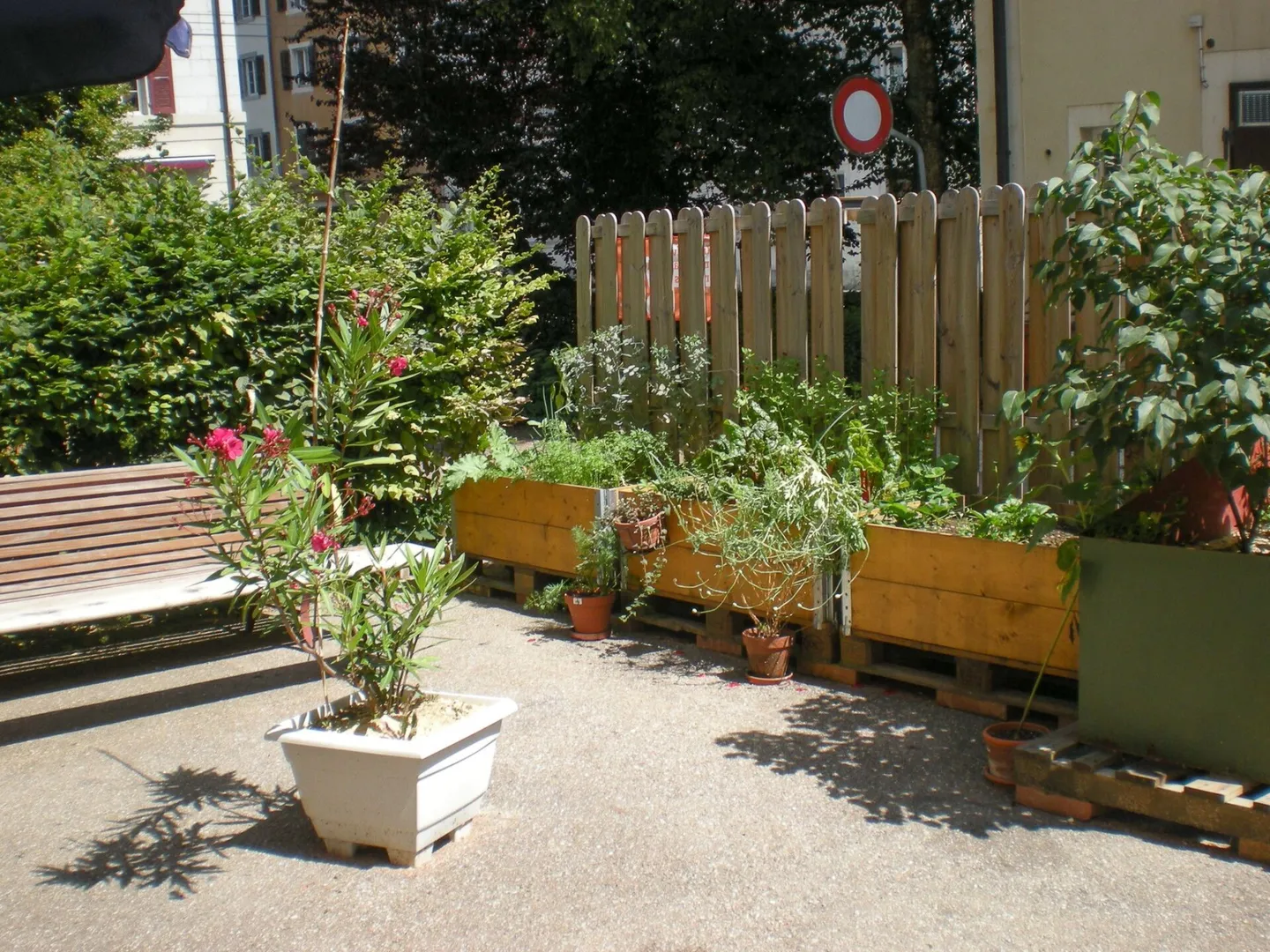 1st March 12b Rez 4 rooms in the city - Photo 4 of 8