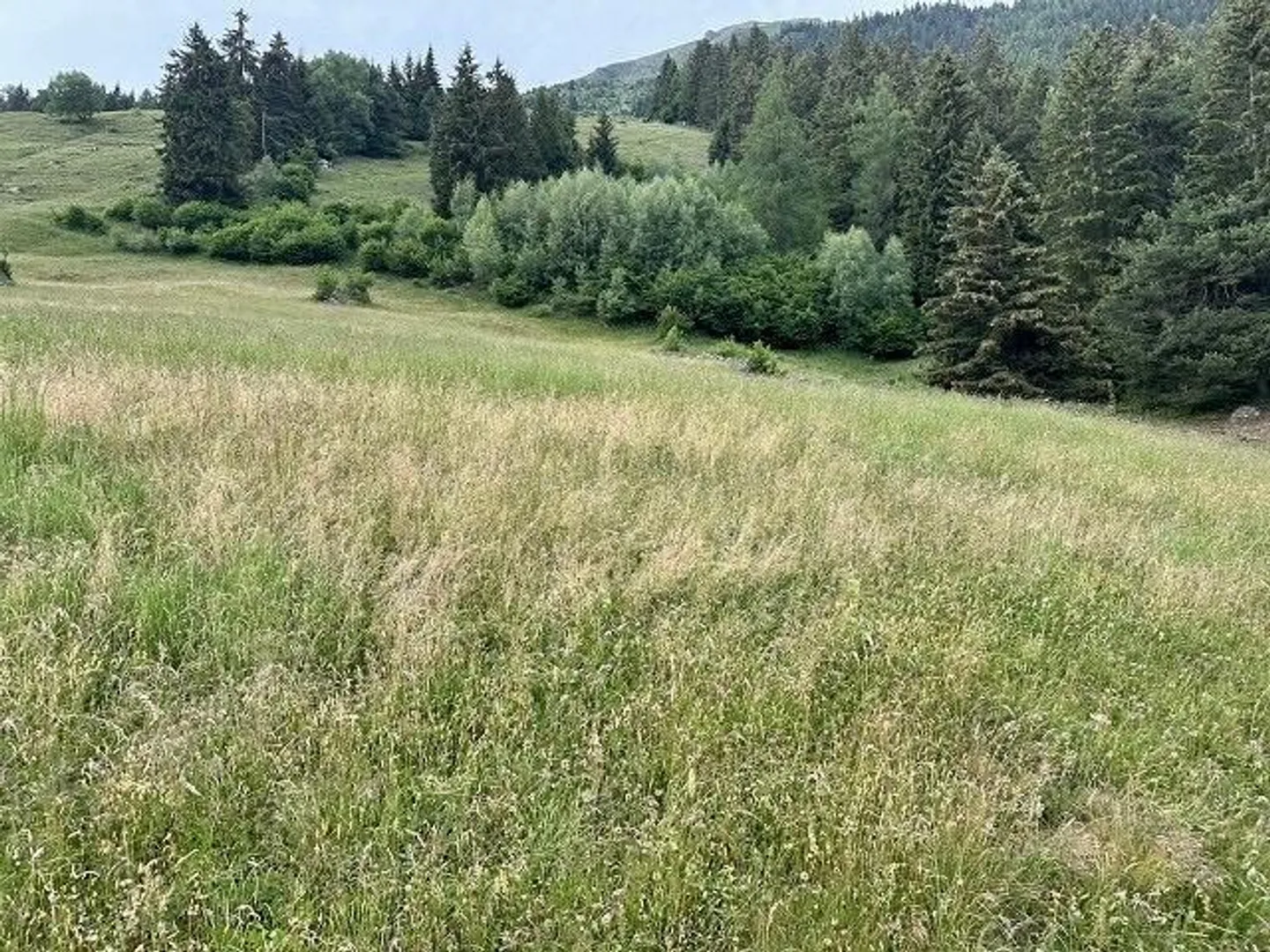 Chalet avec deux appartements et vue panoramique sur les montagnes - Photo 16 sur 20