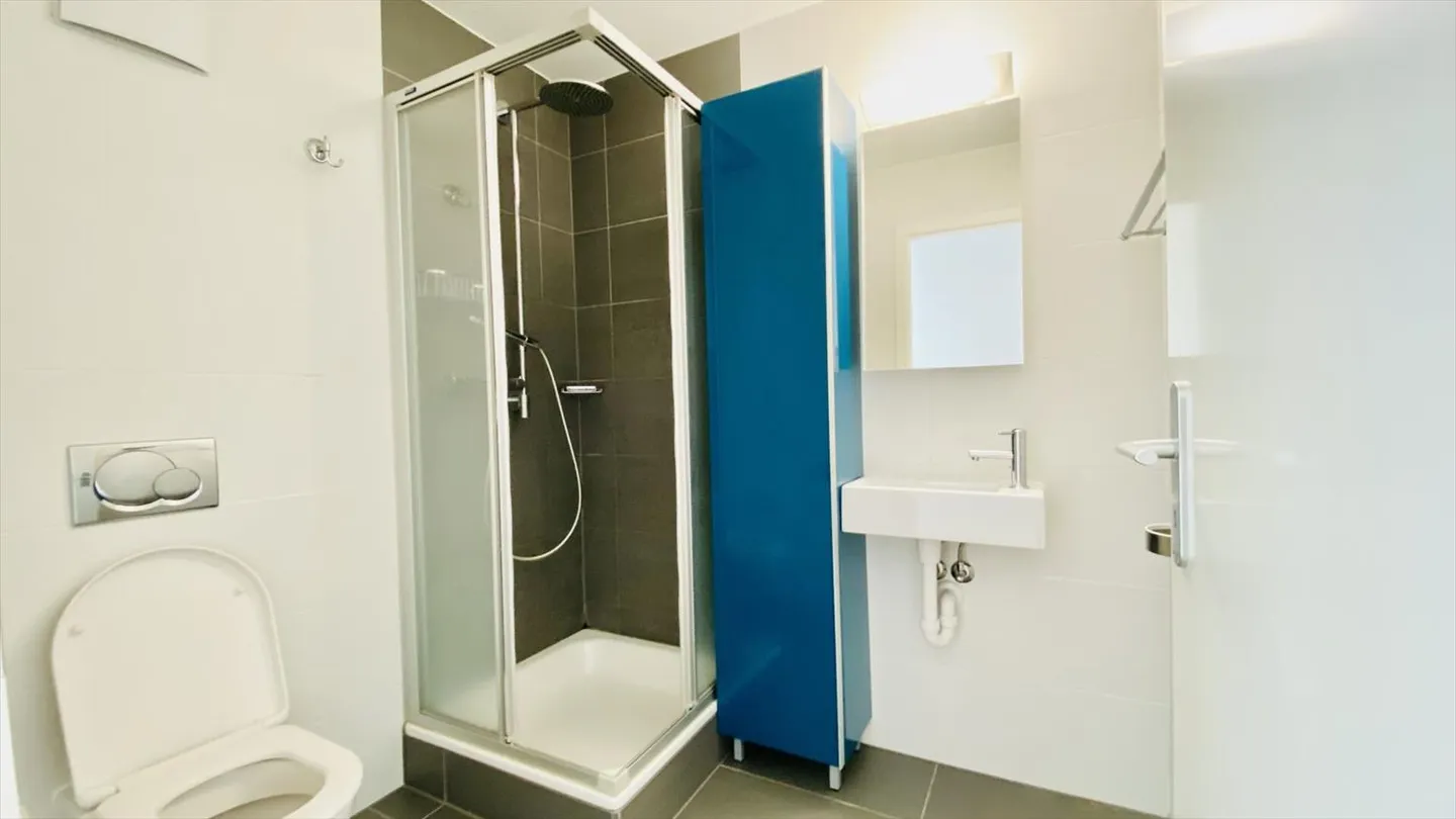 Prächtige Dachgeschoßwohnung - Foto 8 von 13