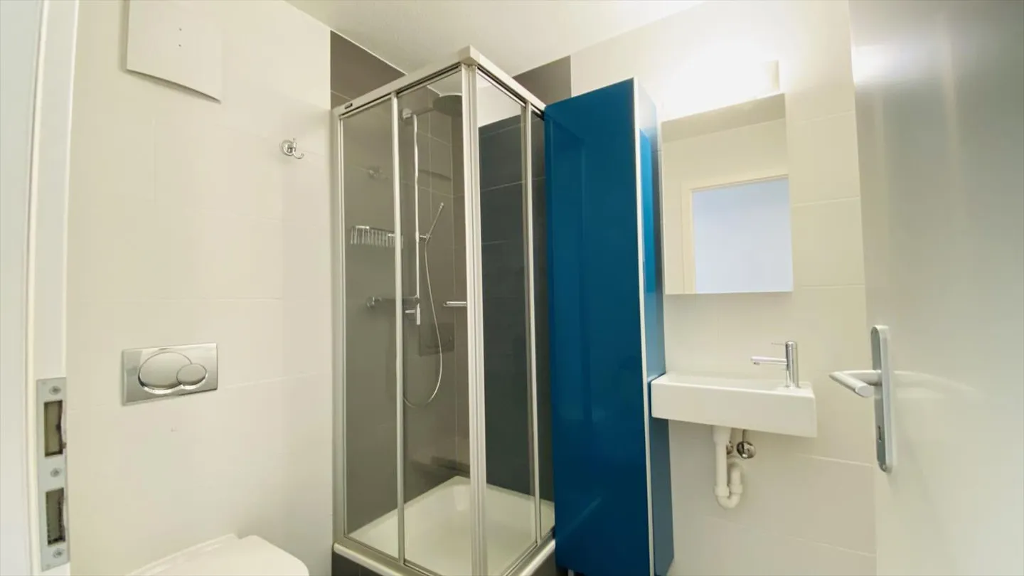 Prächtige Dachgeschoßwohnung - Foto 11 von 13