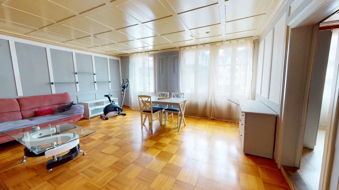 Commercial Property in the Heart of Altstätten for Sale - Photo 9 of 9