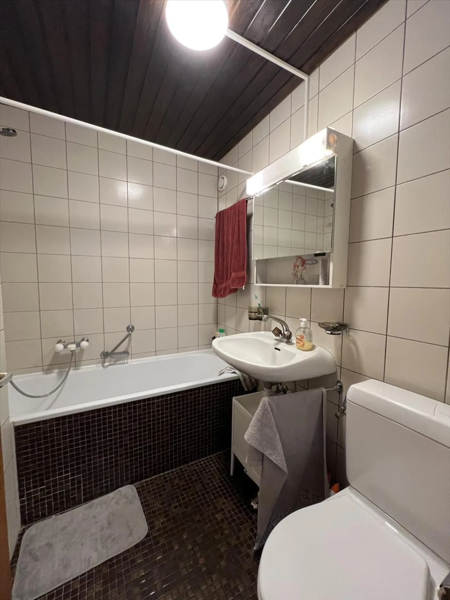 1.5 Room Apartment - Photo 3 of 4