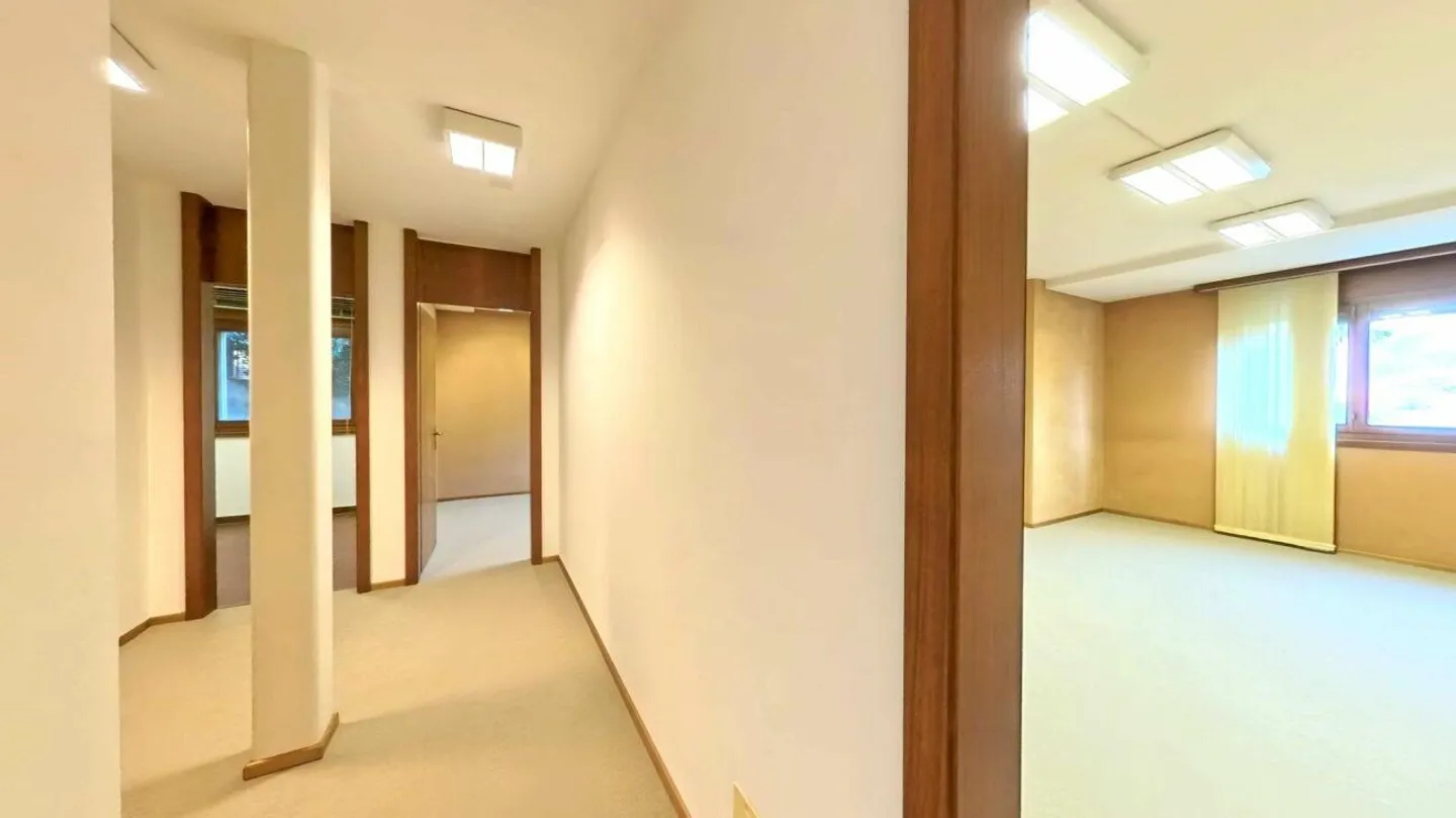 Bureau de représentation en bord de lac - Personnalisable - Photo 10 sur 12