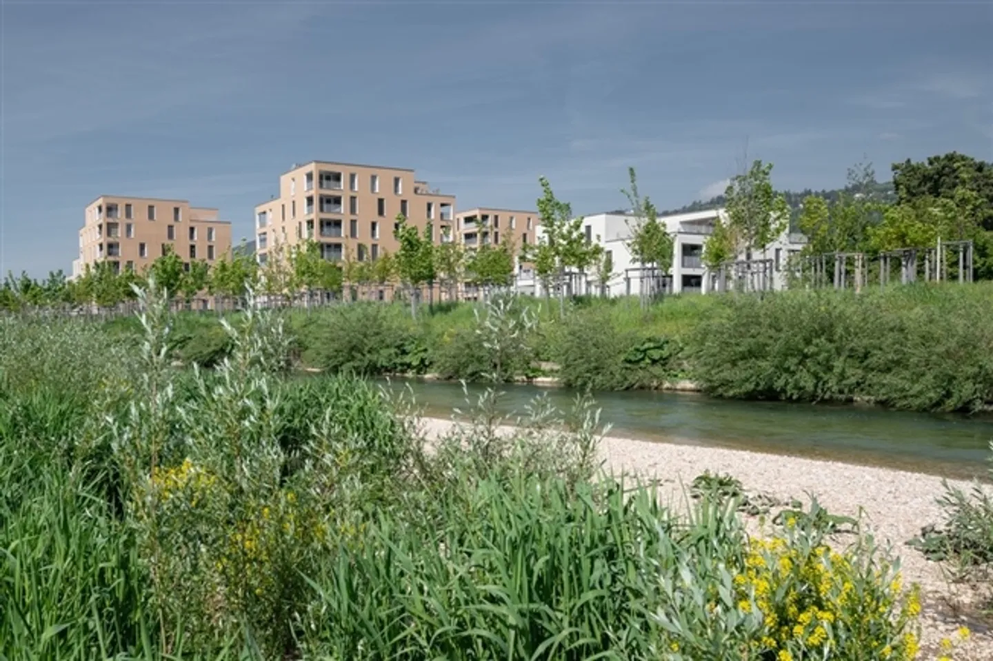 Appartamento al piano terra di 2,5 stanze con terrazza direttamente alla Schüssinsel - Foto 8 di 10