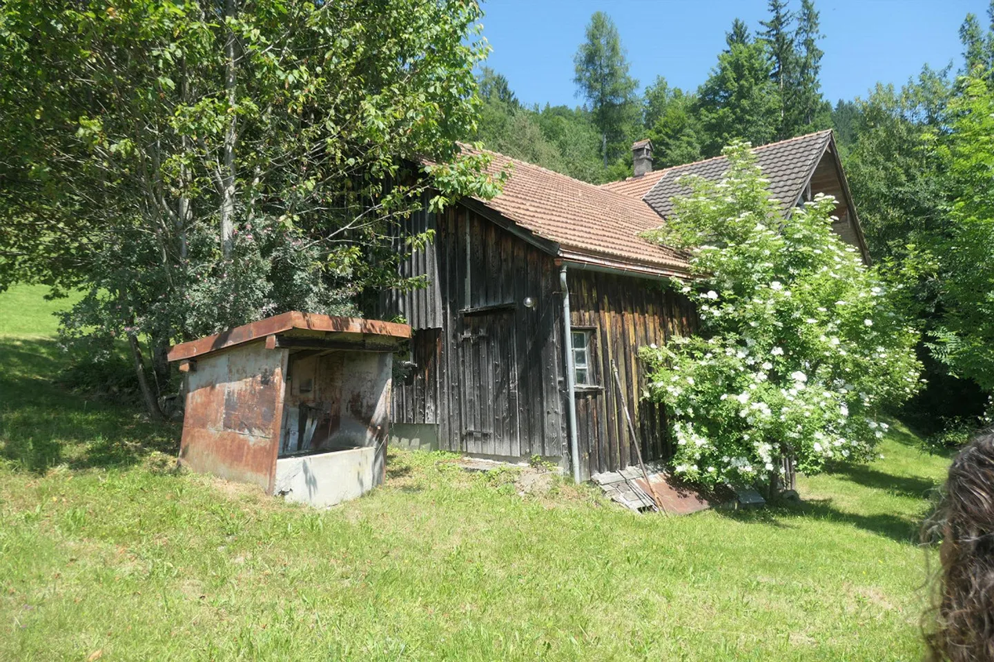 Bauland mit Blick auf den Säntis - Foto 1 von 3