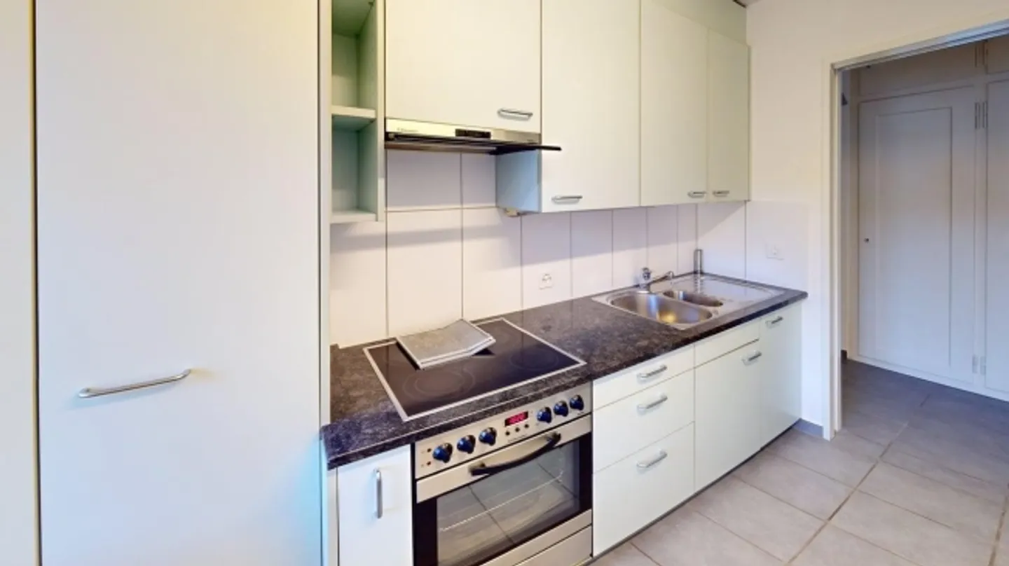 Charming 2-bedroom apartment in Zurich (District 3) - Photo 13 of 13