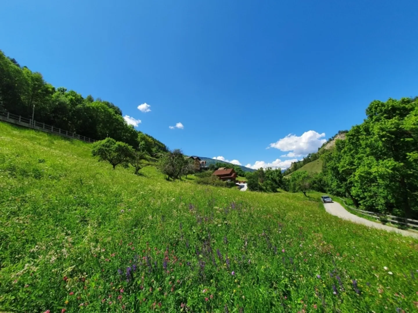«LA LUETTE - SAINT MARTIN                              TERRAIN A  BÂTIR» - Photo 1 sur 3