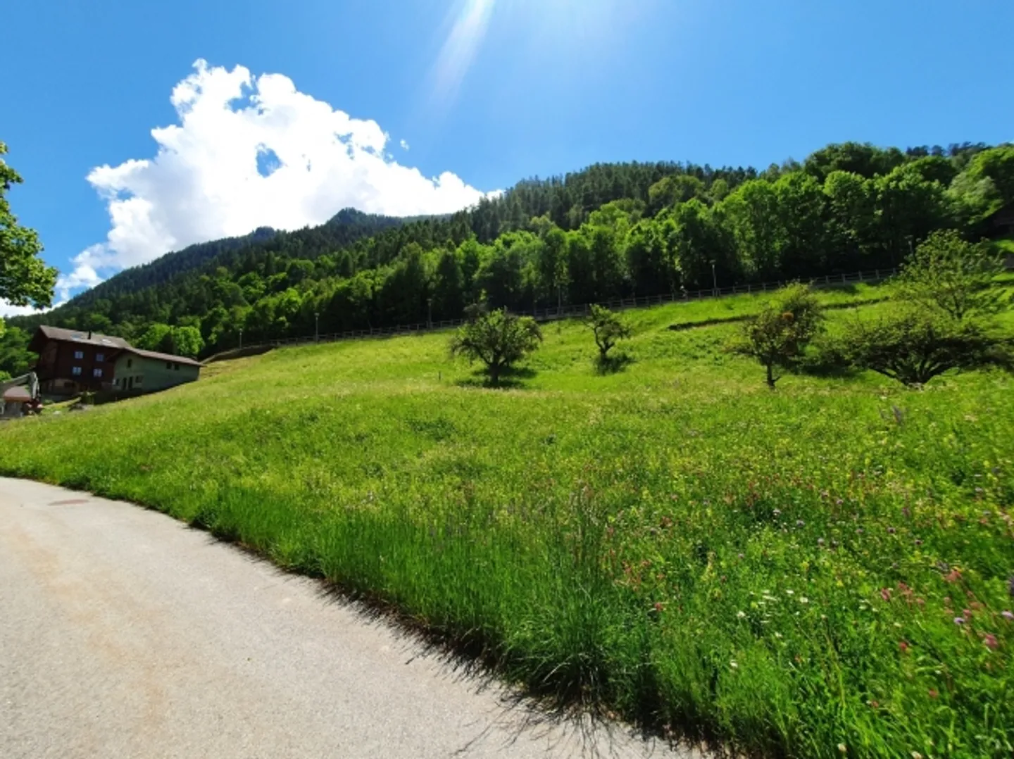 «LA LUETTE - SAINT MARTIN                              TERRAIN A  BÂTIR» - Photo 2 sur 3