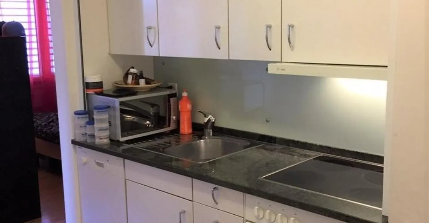 Single apartment is looking for new tenants - Photo 2 of 3