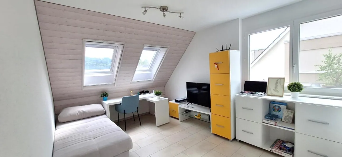 Casa unifamiliare moderna e luminosa con sauna e idromassaggio - Foto 12 di 16