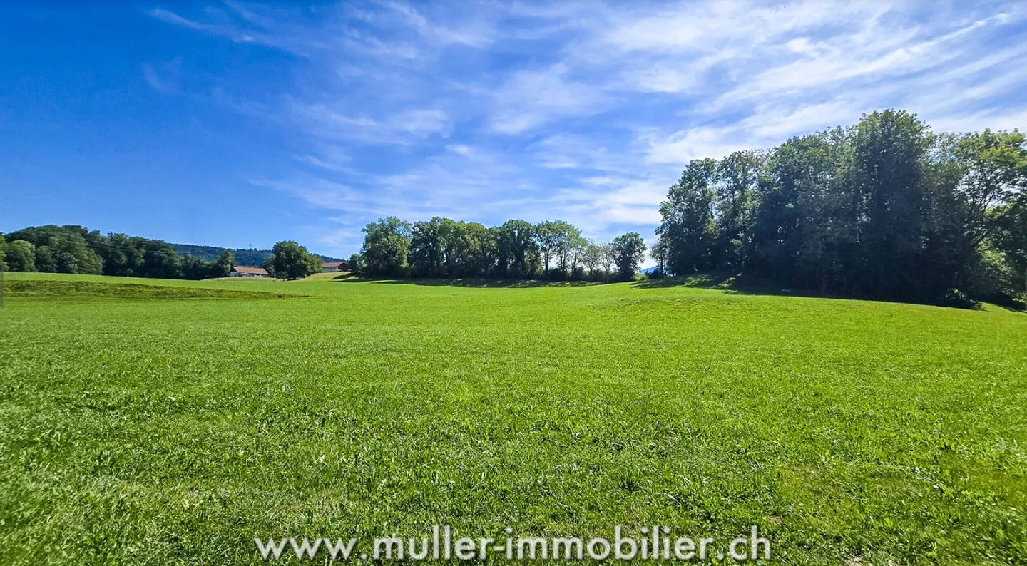 Belle villa à Bossonnens - Photo 9 sur 11