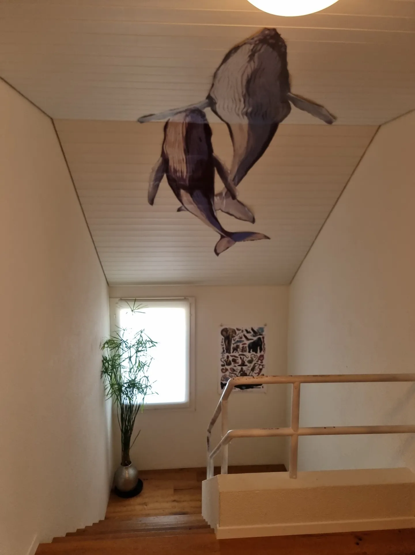 Charmante Wohnung mit Garten - Foto 4 von 8
