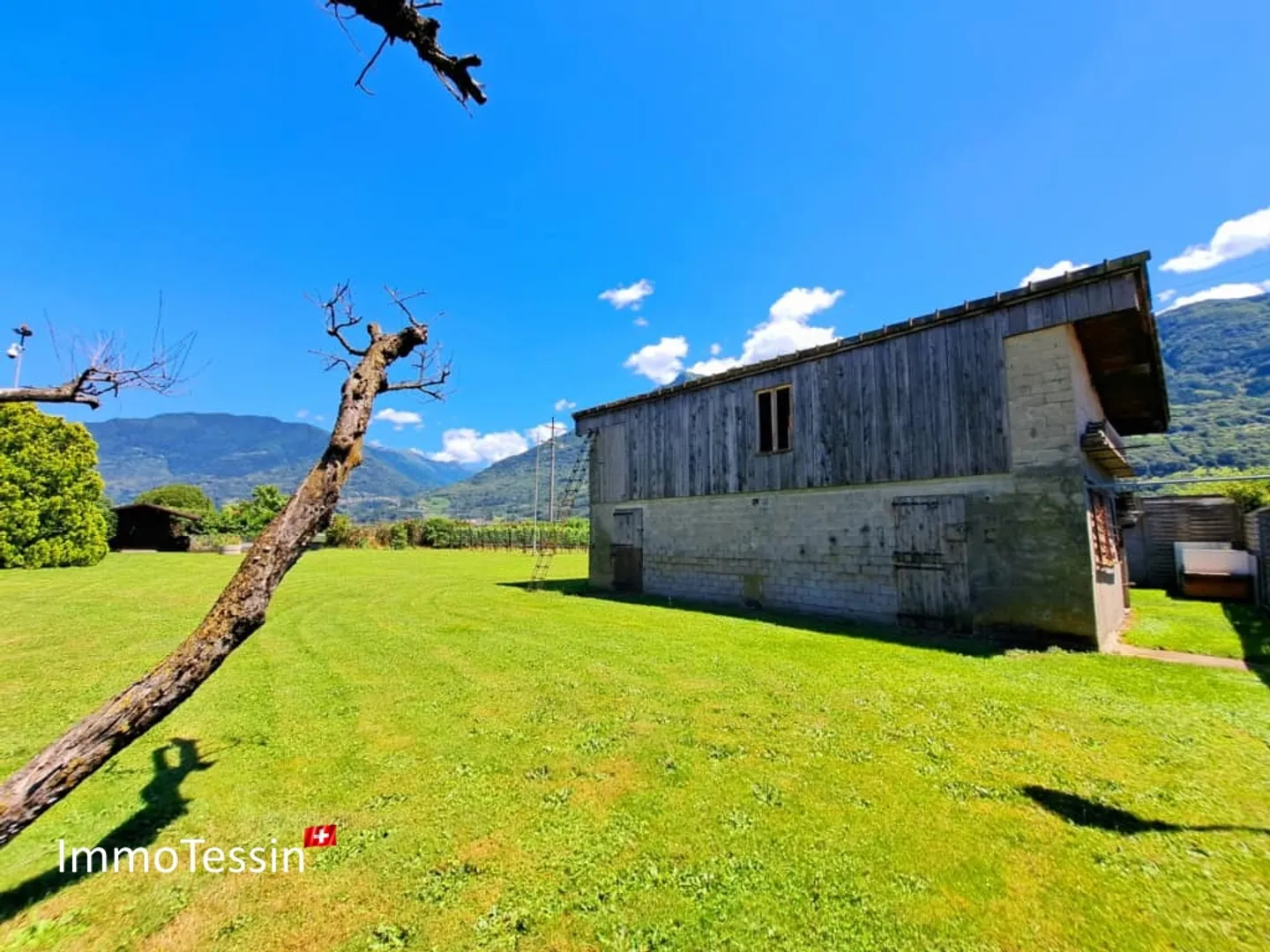 Proprietà unica con 2 ville e scuderia ideale per l'allevamento di cavalli, con terreno di 4400 m2 a Giubiasco - Foto 8 di 13