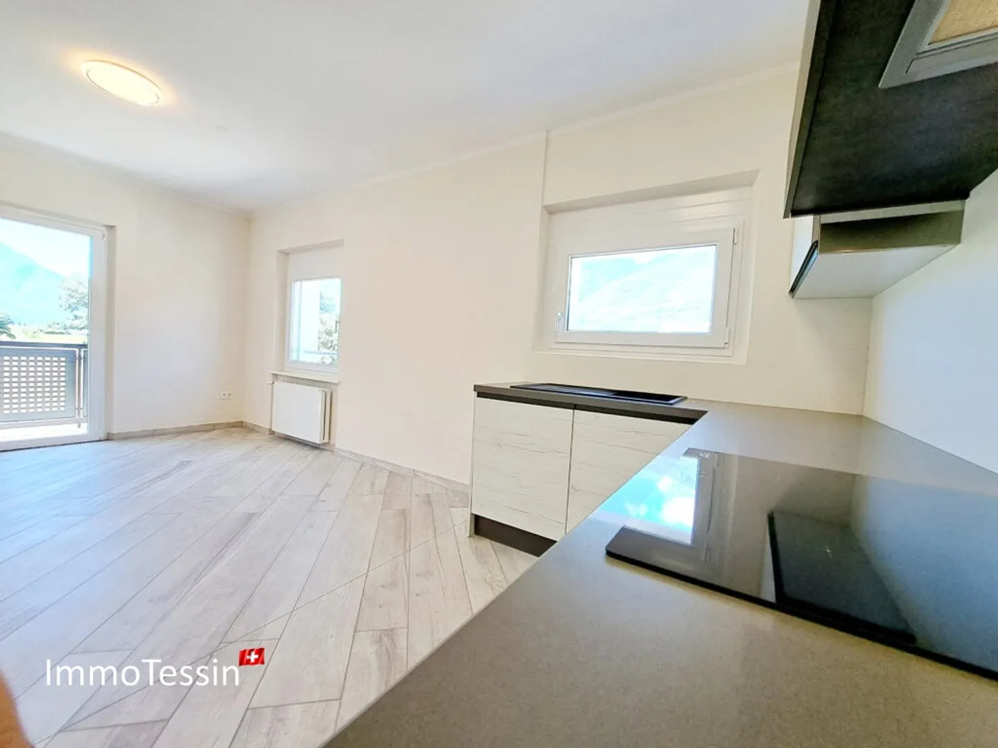 Proprietà unica con 2 ville e scuderia ideale per l'allevamento di cavalli, con terreno di 4400 m2 a Giubiasco - Foto 11 di 13