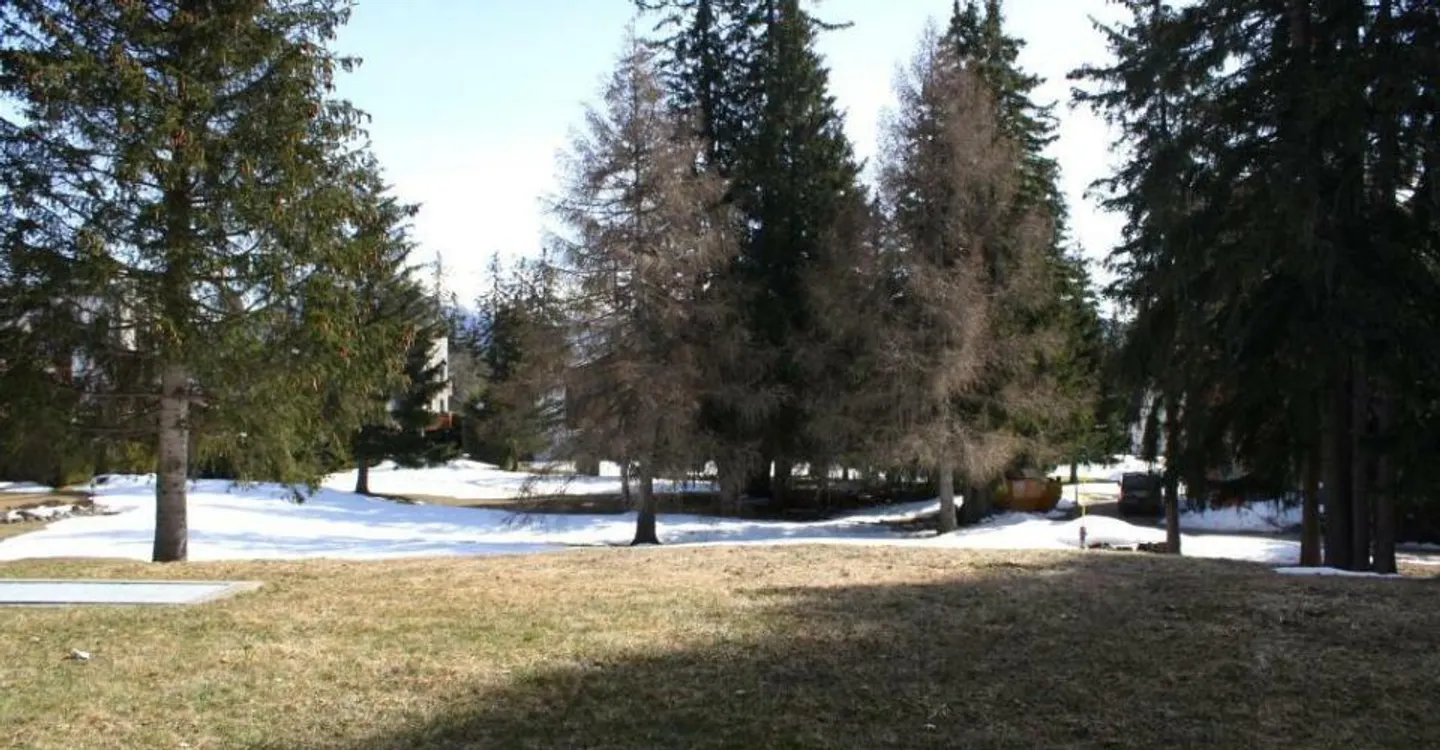 Appartamento al Piano Terra con Giardino - Foto 10 di 12