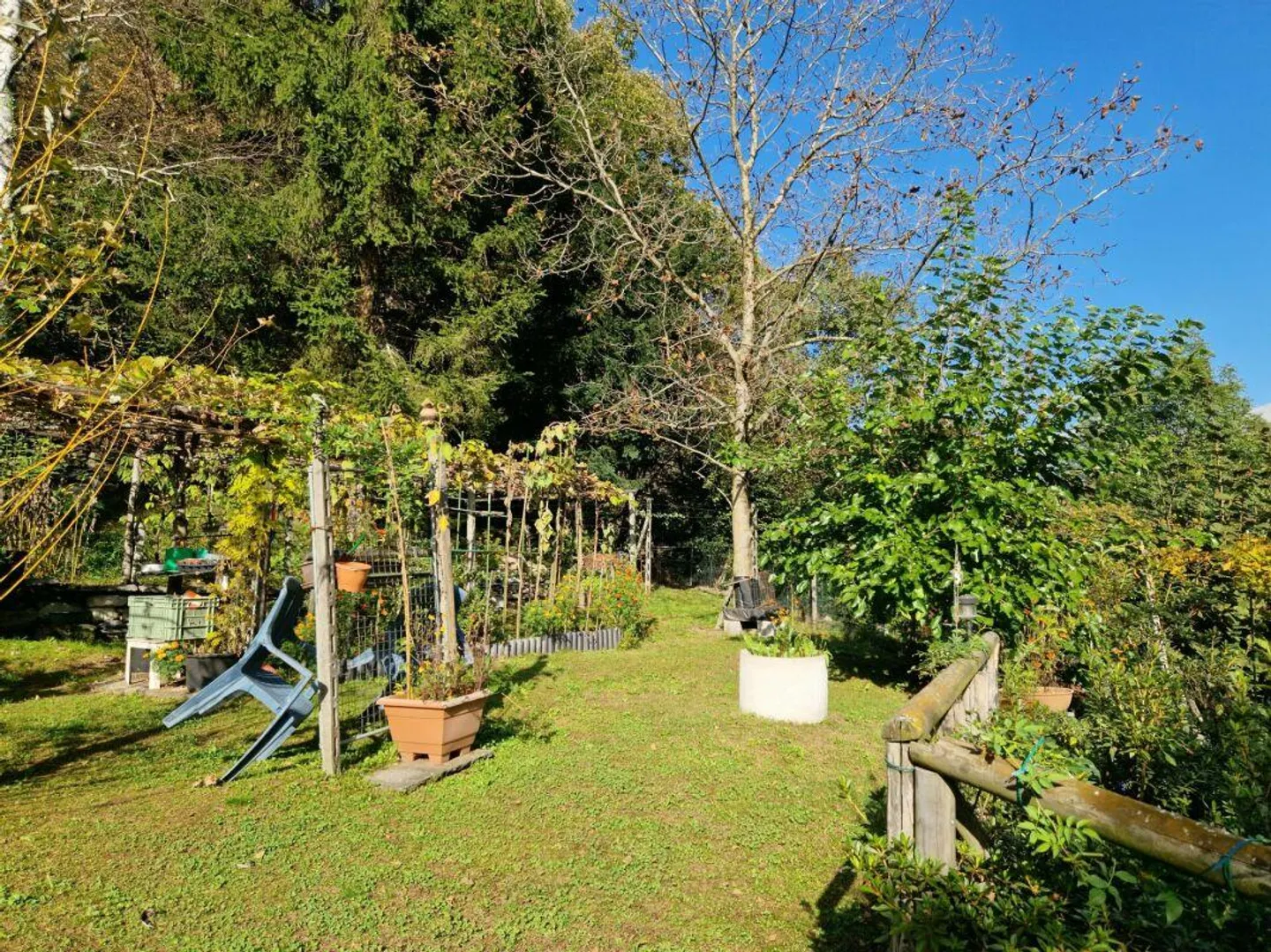 Casa monofamiliare con rustico e terreno - Foto 9 di 14