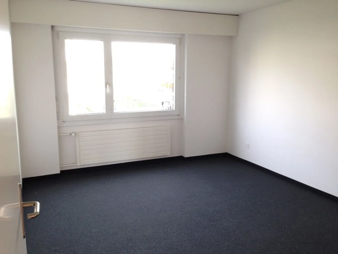 Appartamento 3 1/2 locali cerca un inquilino simpatico. - Foto 7 di 9