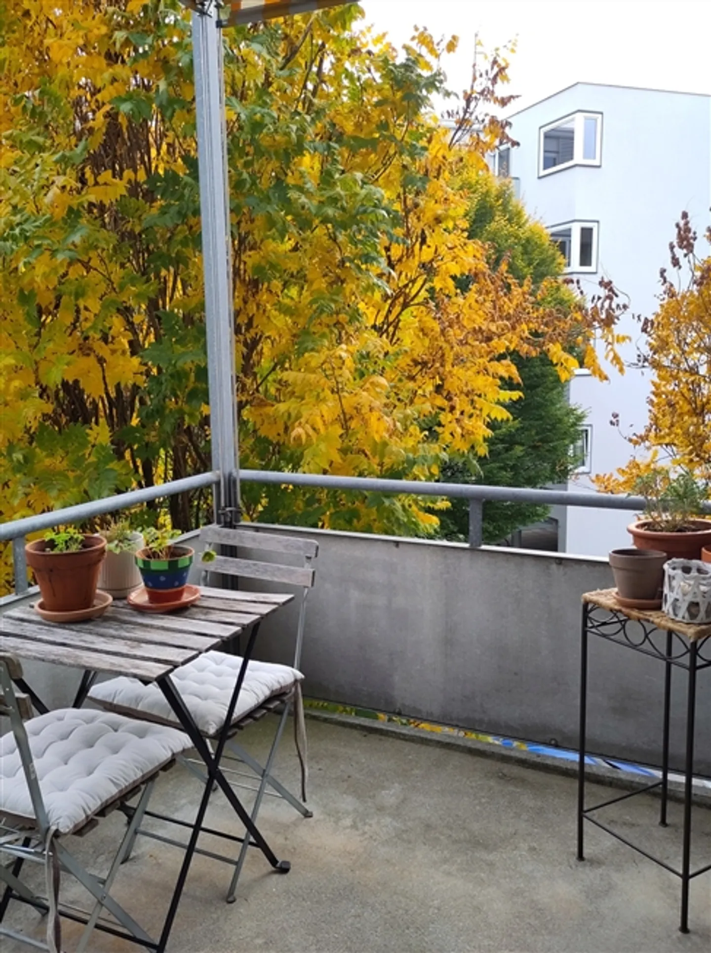 POUR UNE SEULE PERSONNE À BERN, MEUBLÉ, TEMPORAIRE - Photo 10 sur 10