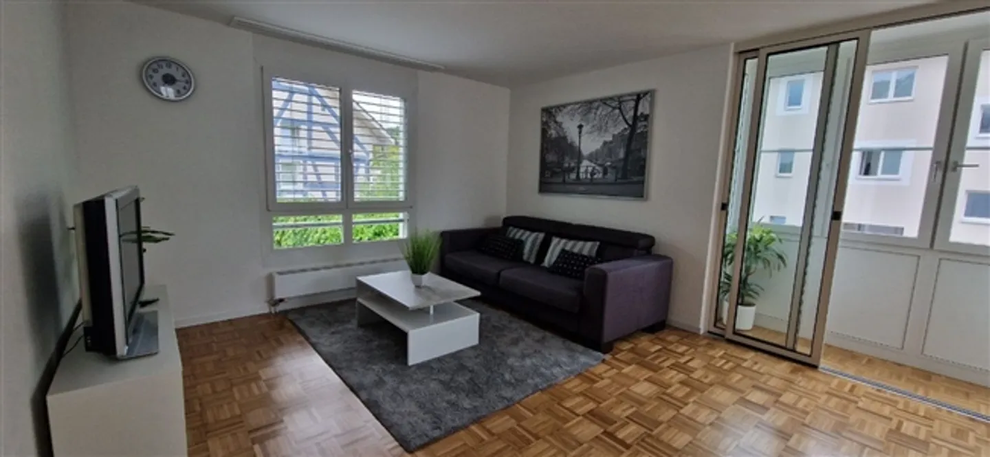 2½ ROOM APARTMENT IN LANGWIESEN (ZH), FURNISHED, TEMPORARY - Photo 1 of 10