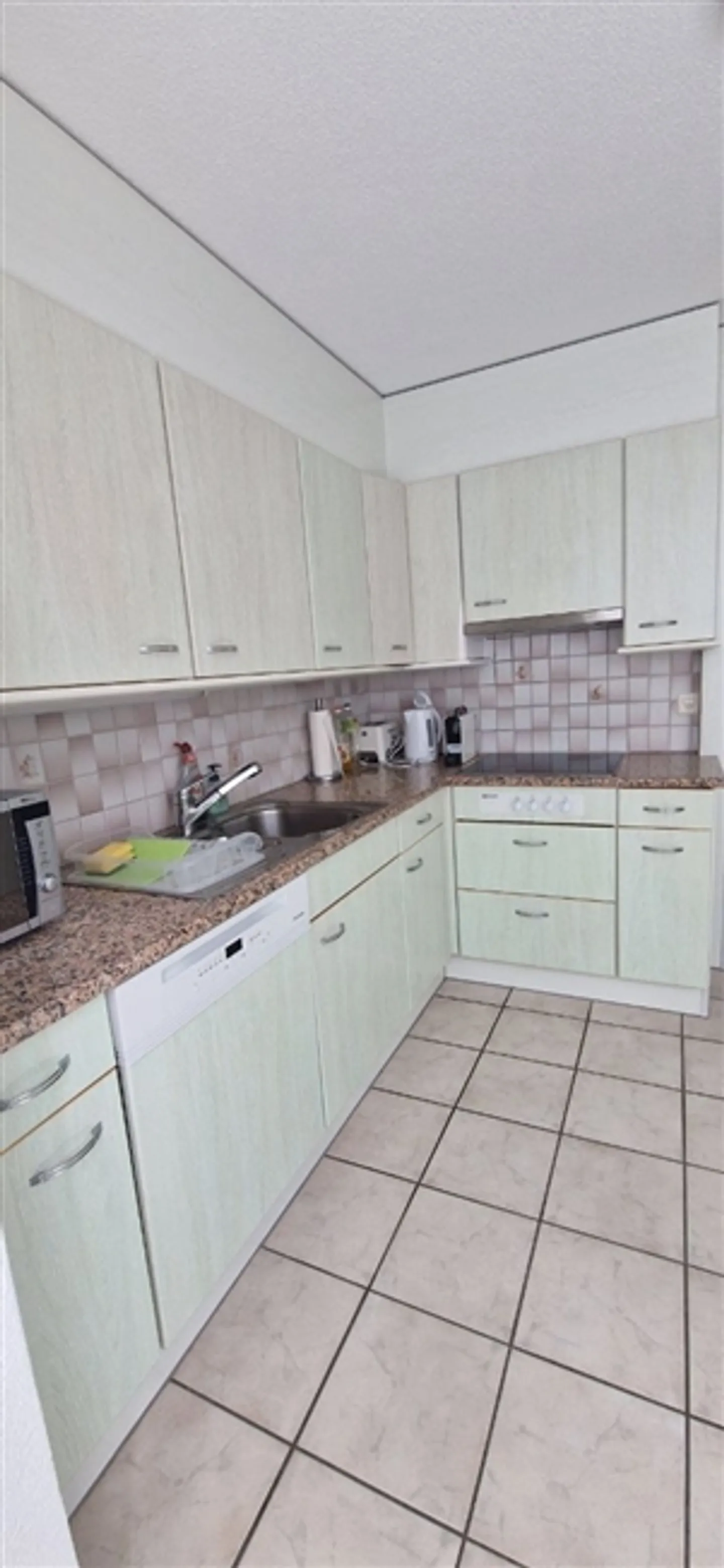 2½ ROOM APARTMENT IN LANGWIESEN (ZH), FURNISHED, TEMPORARY - Photo 3 of 10