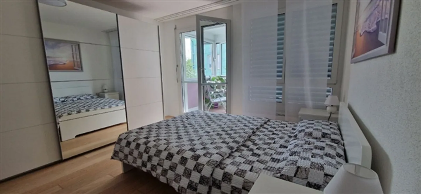 2½ ROOM APARTMENT IN LANGWIESEN (ZH), FURNISHED, TEMPORARY - Photo 5 of 10