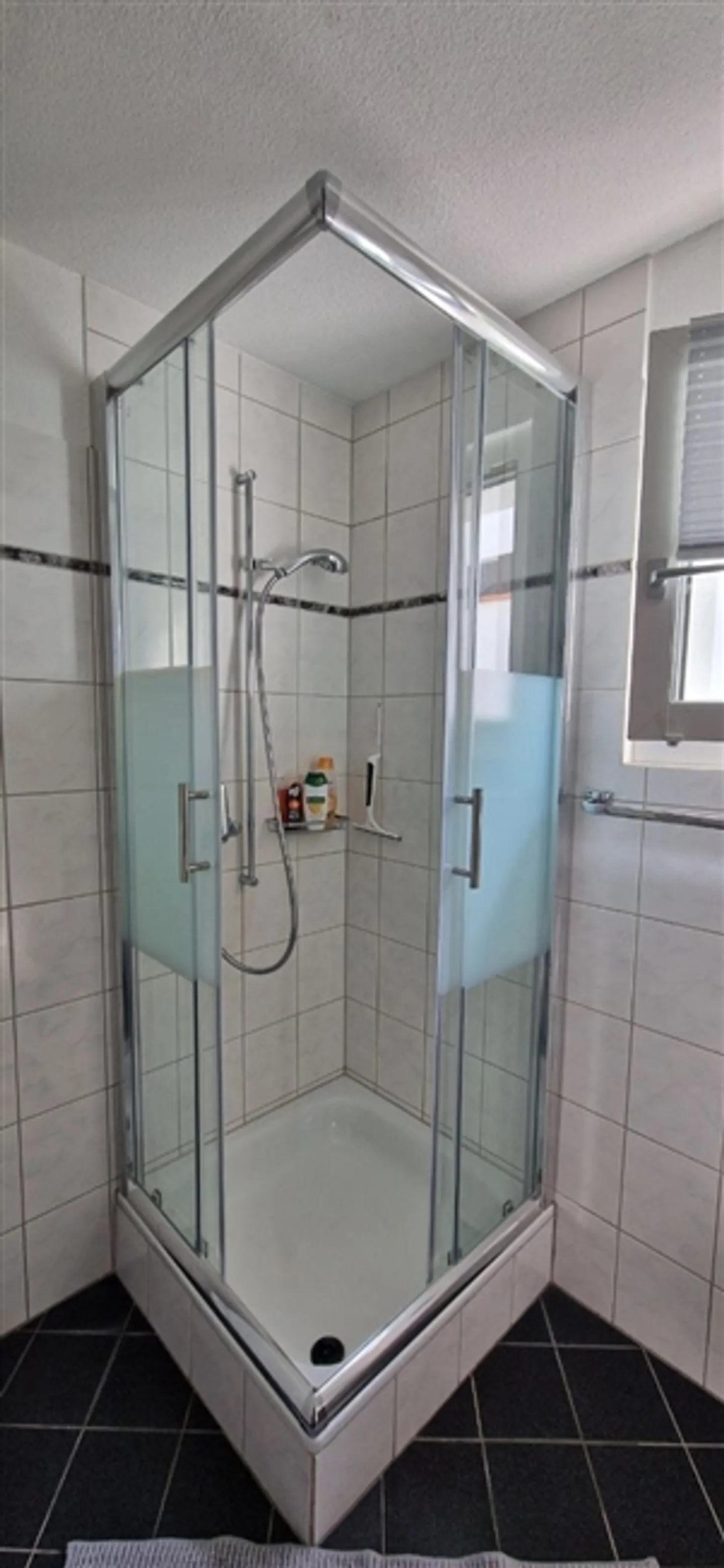 2½ ROOM APARTMENT IN LANGWIESEN (ZH), FURNISHED, TEMPORARY - Photo 6 of 10