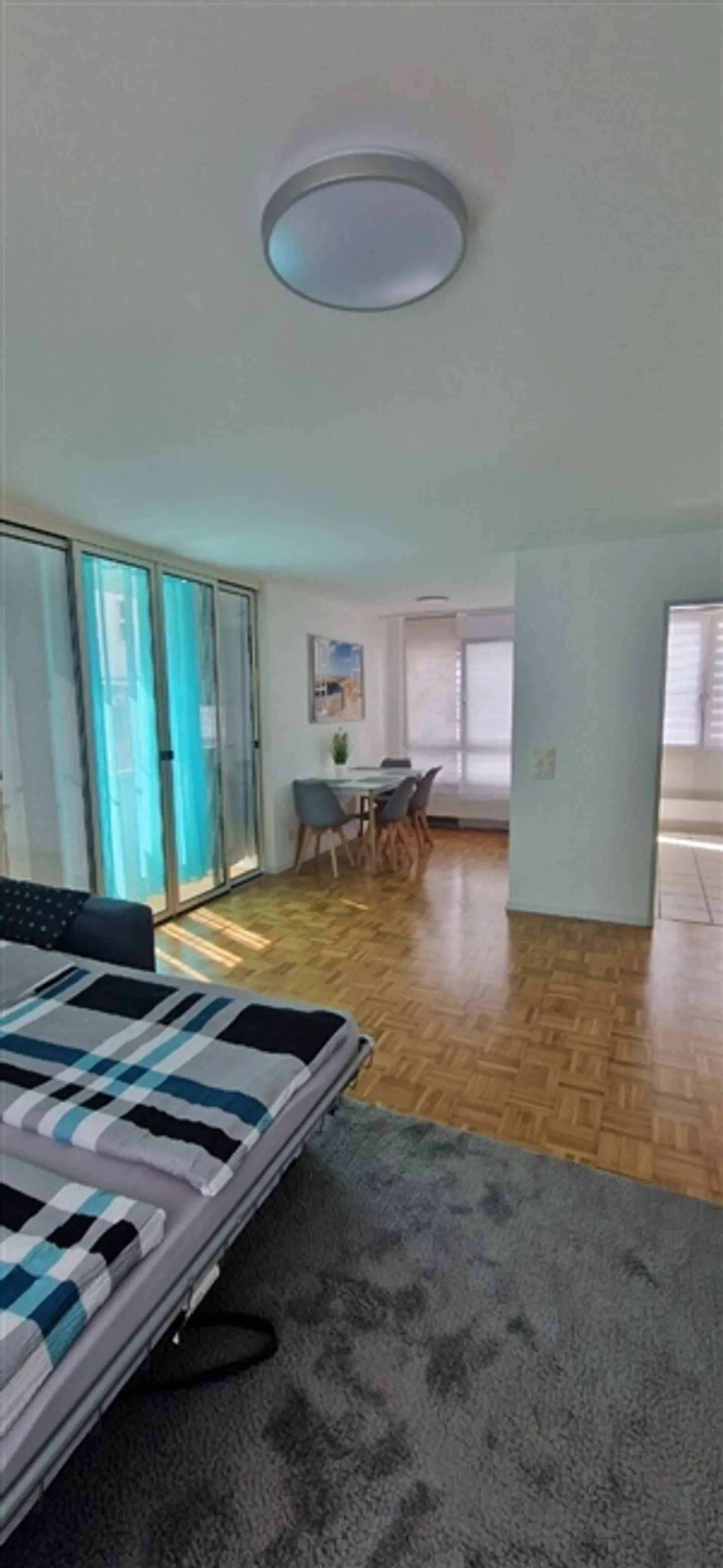 2½ ROOM APARTMENT IN LANGWIESEN (ZH), FURNISHED, TEMPORARY - Photo 8 of 10