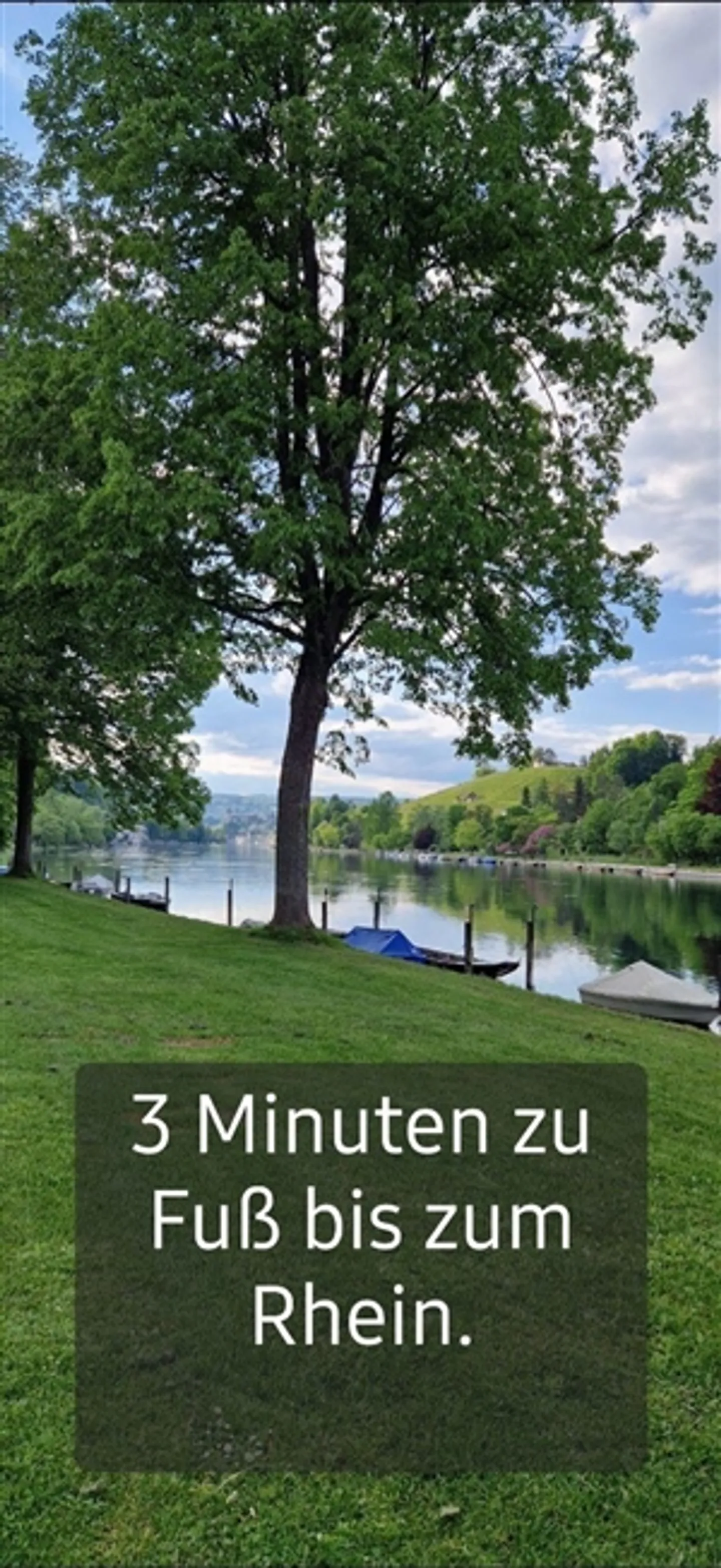 2½ ROOM APARTMENT IN LANGWIESEN (ZH), FURNISHED, TEMPORARY - Photo 9 of 10