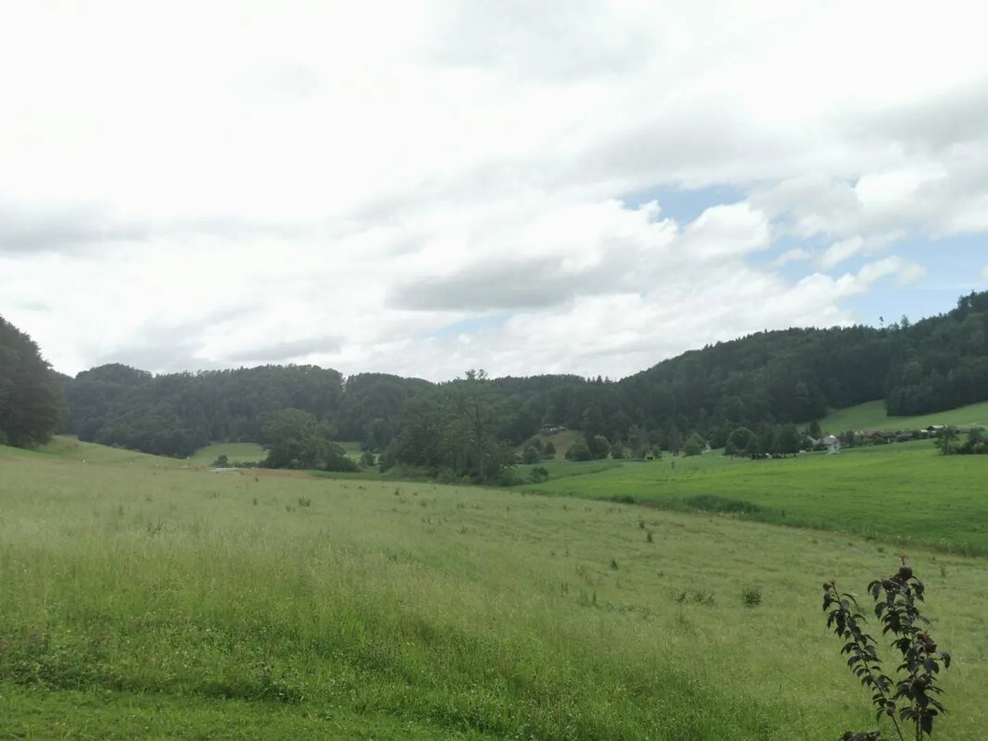 Ampio appartamento mansardato di 3,5 locali con vista sul Bichelsee! - Foto 6 di 6