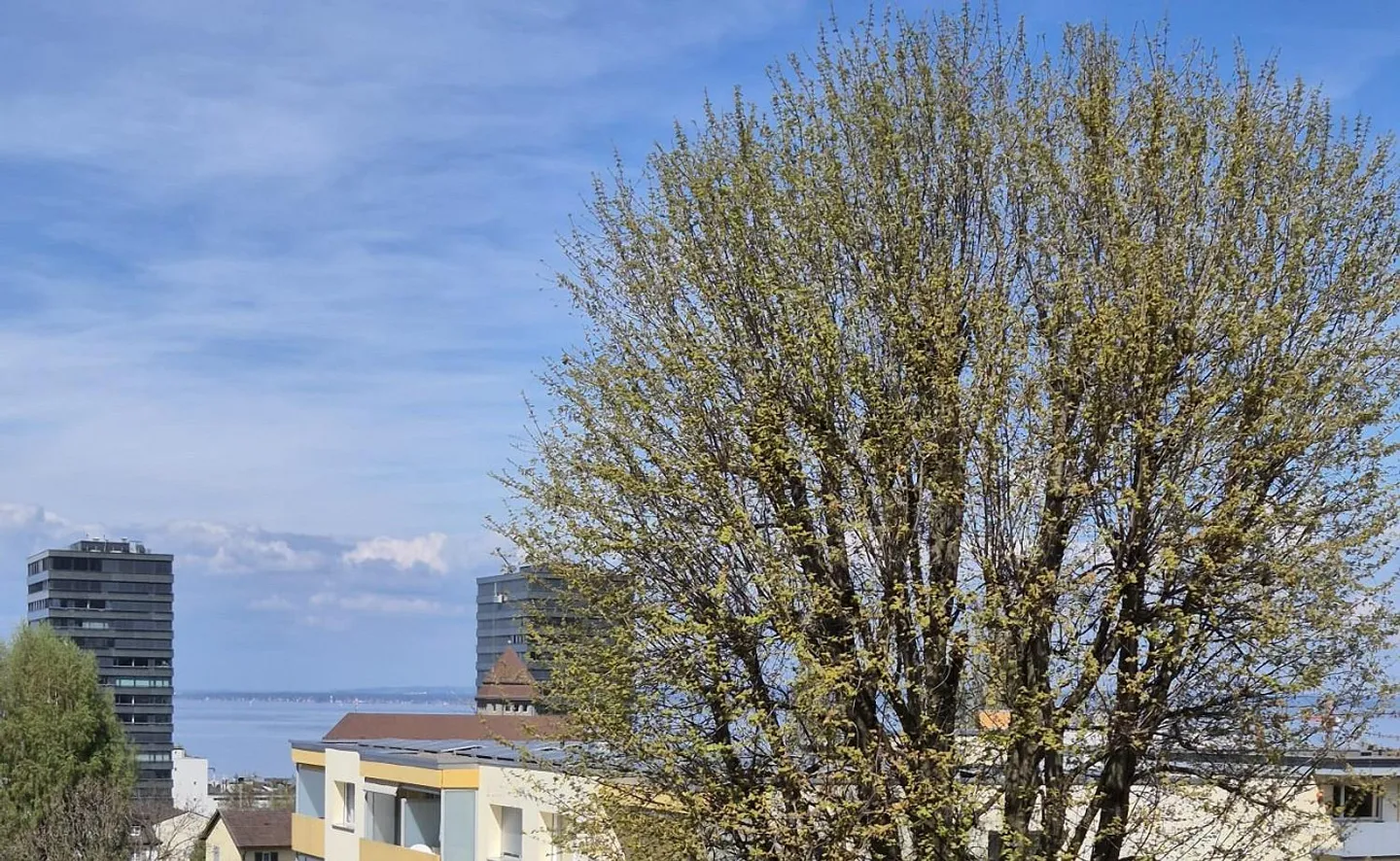 Appartamento attico ristrutturato di 4 stanze in quartiere familiare - Foto 2 di 18