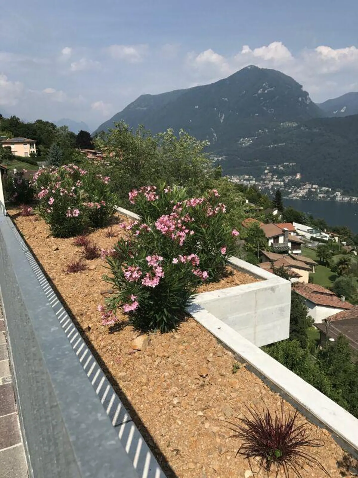 3.5-ROOM APARTMENT WITH UNMATCHED LAKE VIEW - Photo 6 of 30