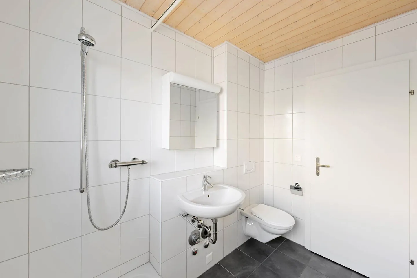 Beautiful apartment in Thun - Photo 4 of 5