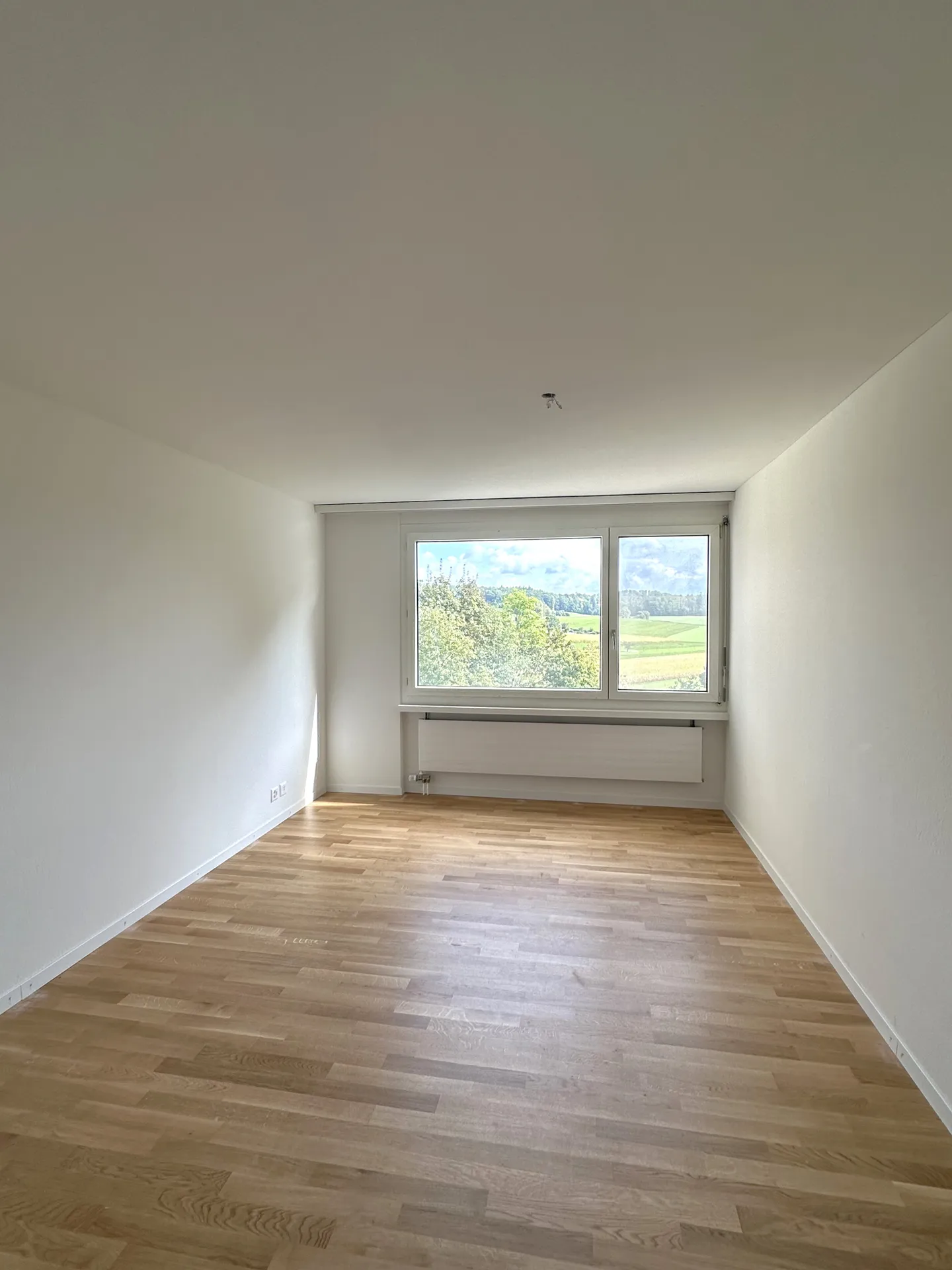Renovierte Wohnung in Buchthalen - Foto 5 von 6