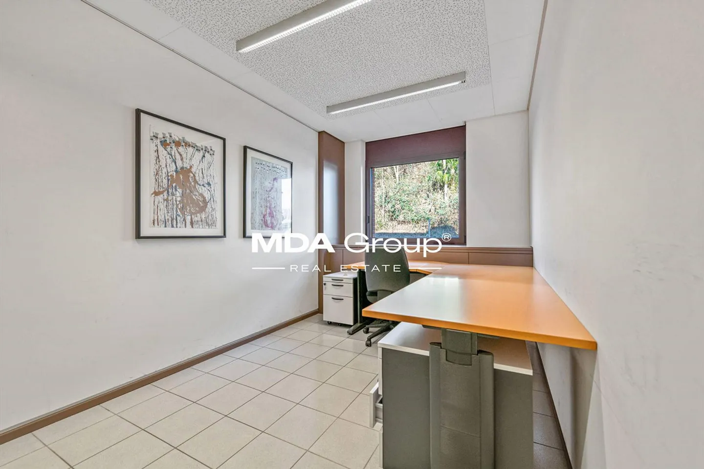 Office - Pazzallo - Photo 11 of 13