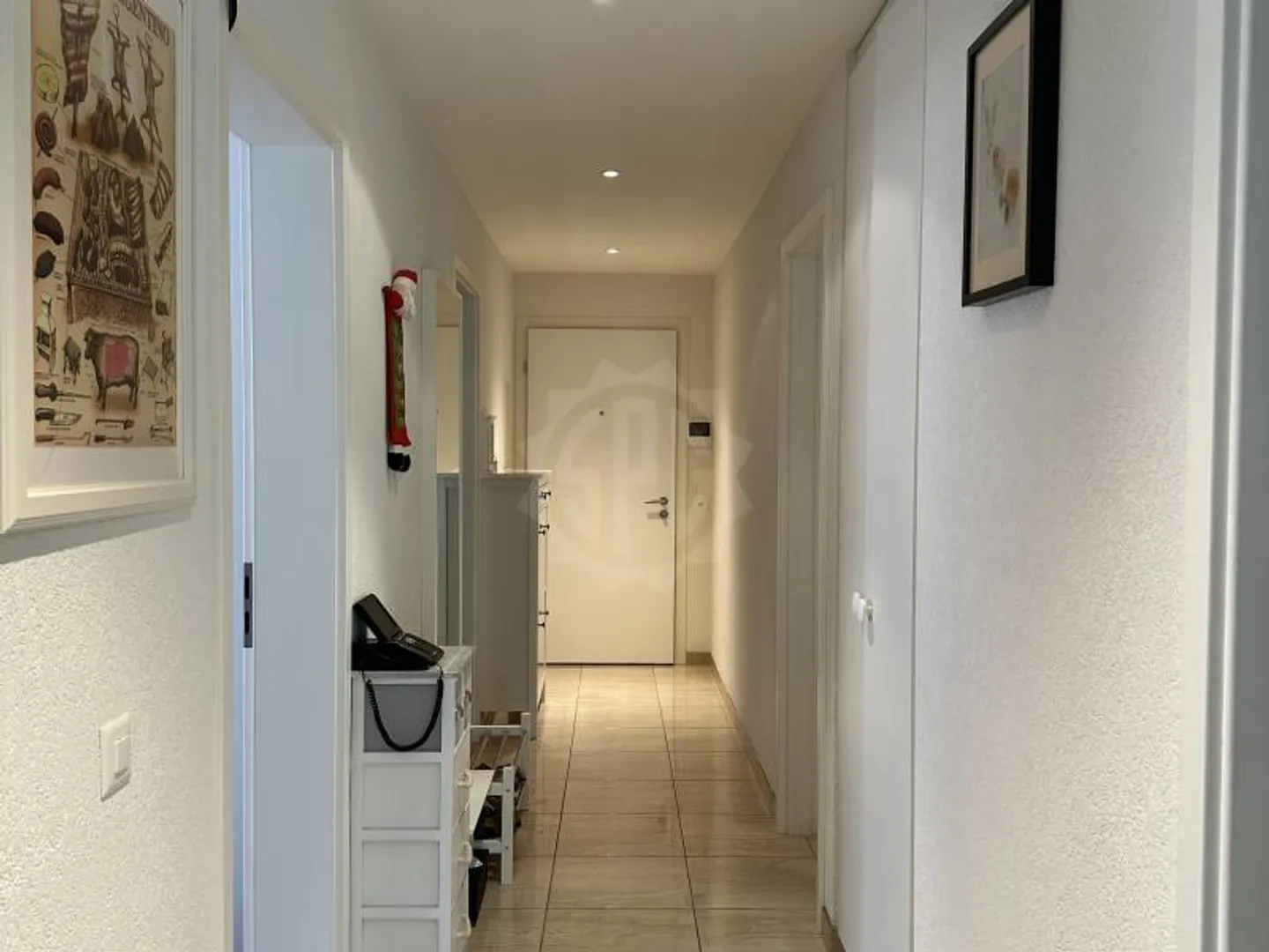 Magnifico appartamento - Ginevra - Foto 2 di 12