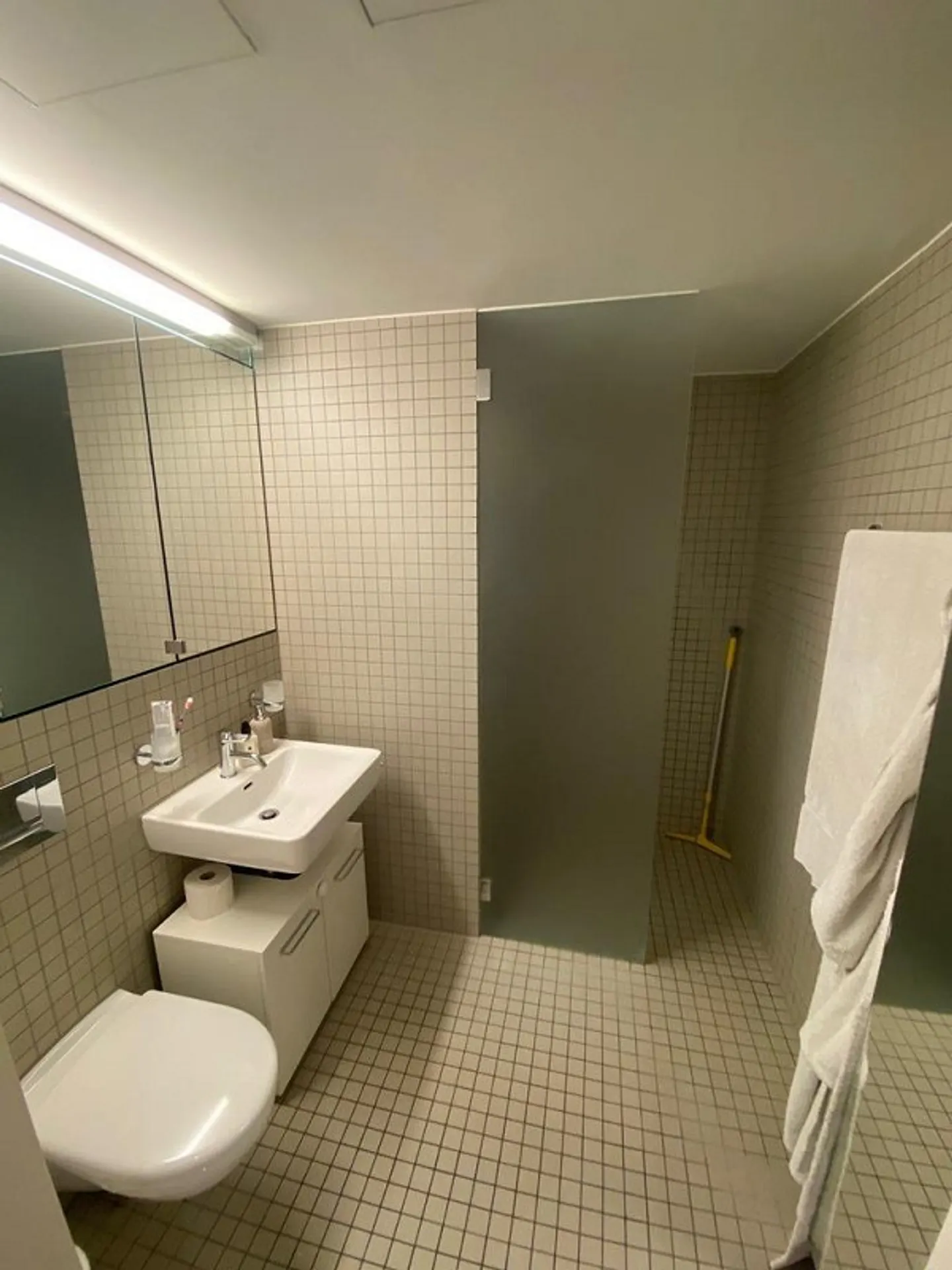 Moderne Wohnung in Thalwil - Foto 6 von 12